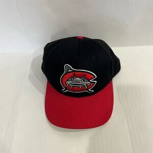 Carolina Mudcats Youth Baseball Cap Red Strapback Hat